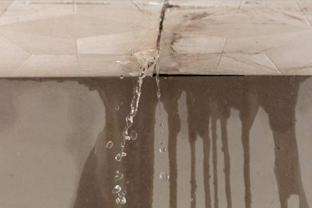 Professional Structural Drying technician working in Radiant, VA